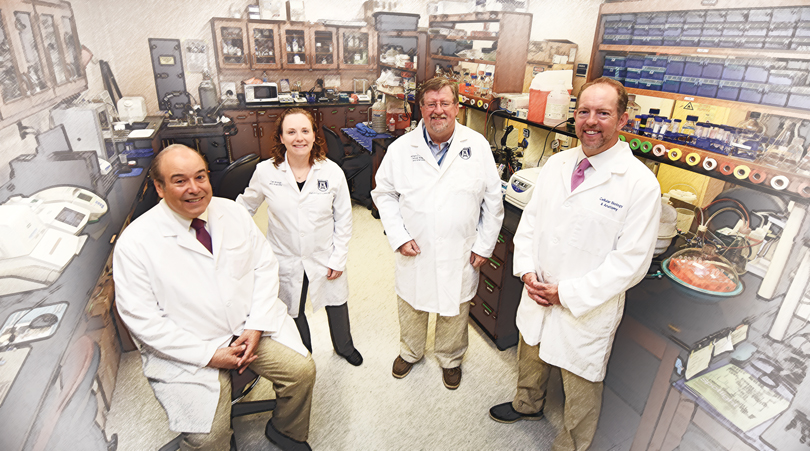 (from left) Program Project leads Drs. Isales, McGee-Lawrence, Hill and Hamrick