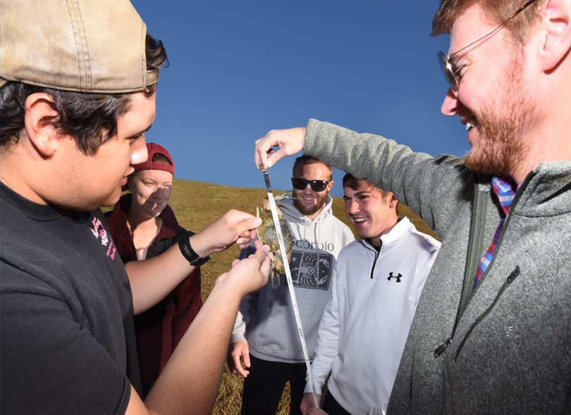 Students from the 2017 class measure a blue crab.