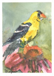 MCgoldfinch 001 (452x640)