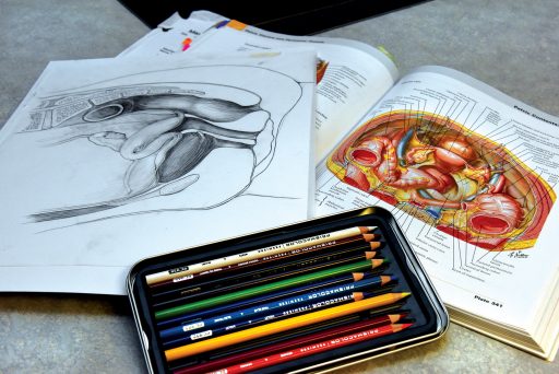 medical illustration book and colored pencils